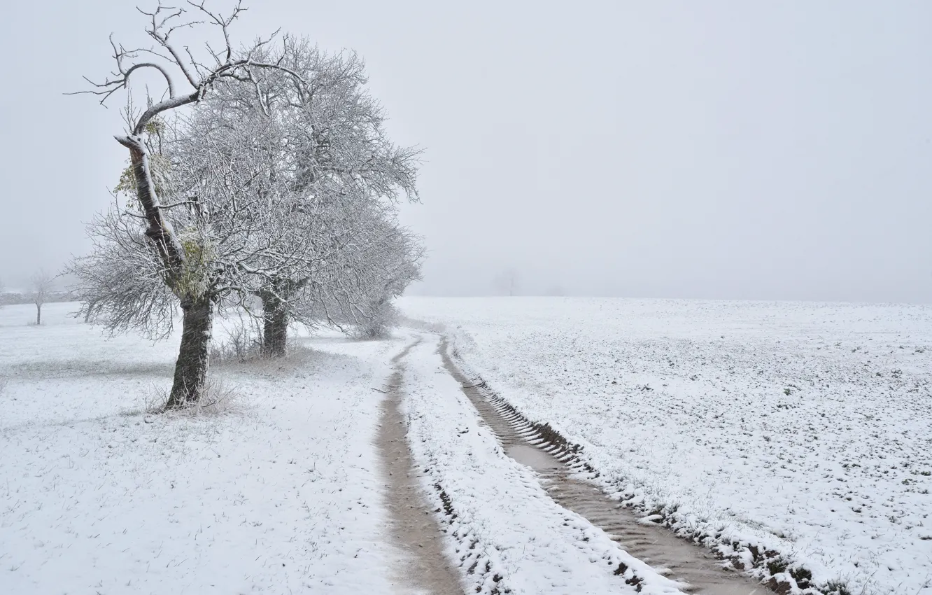 Photo wallpaper winter, road, field, snow