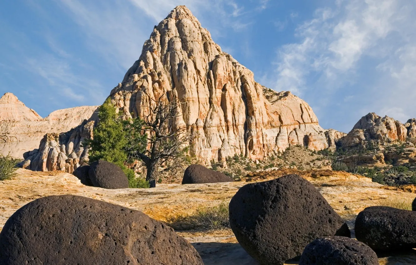 Photo wallpaper landscape, nature, Wallpaper