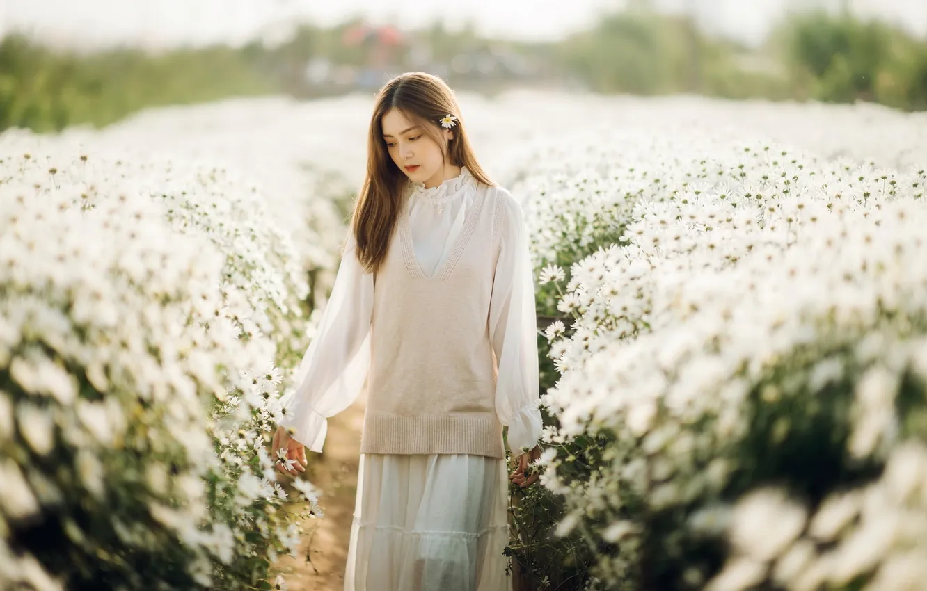 Photo wallpaper summer, girl, chamomile, Asian