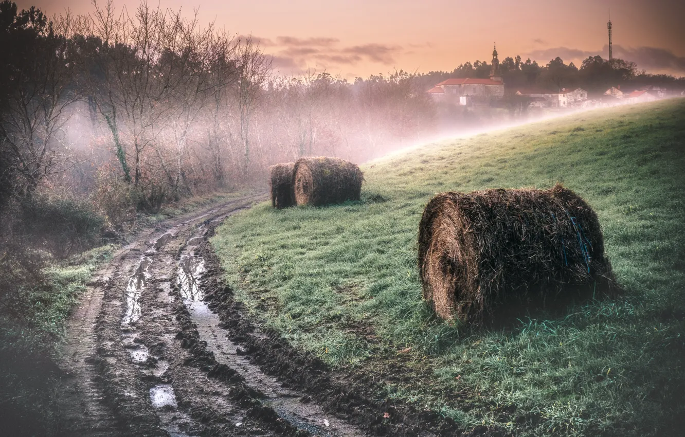 Photo wallpaper road, fog, morning, hay