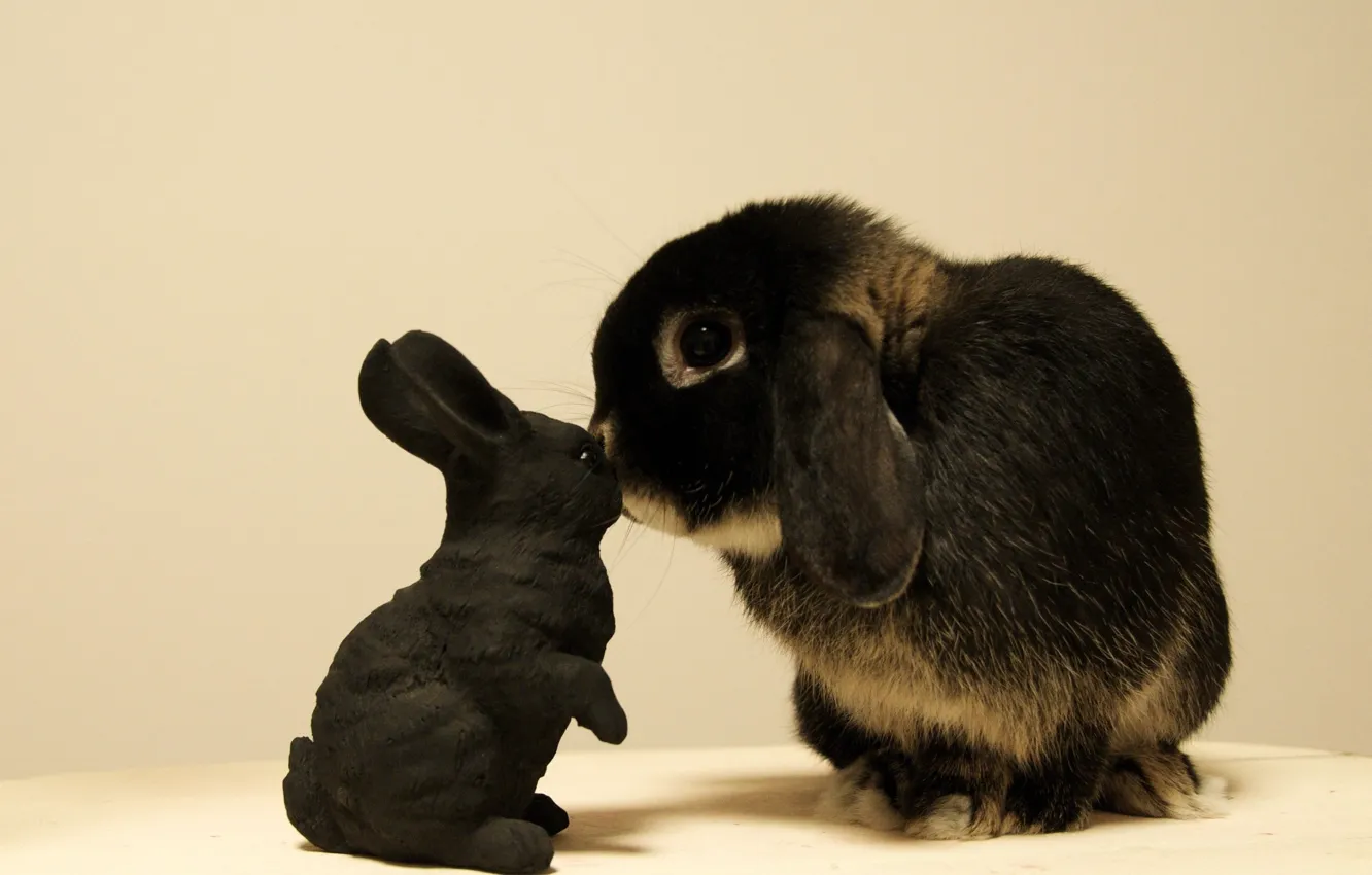 Photo wallpaper toy, rabbit, Bunny