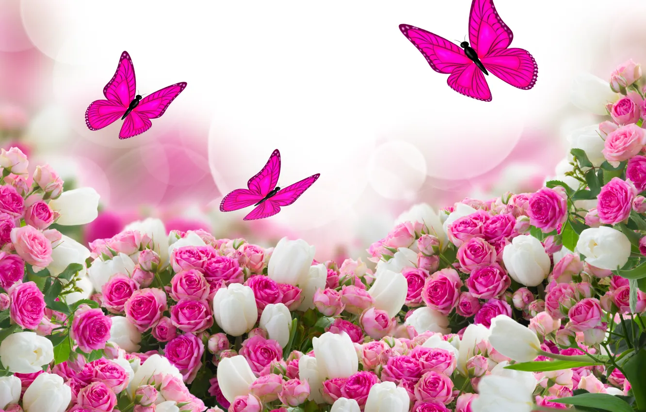 Photo wallpaper butterfly, flowers, roses, tulips, leaves