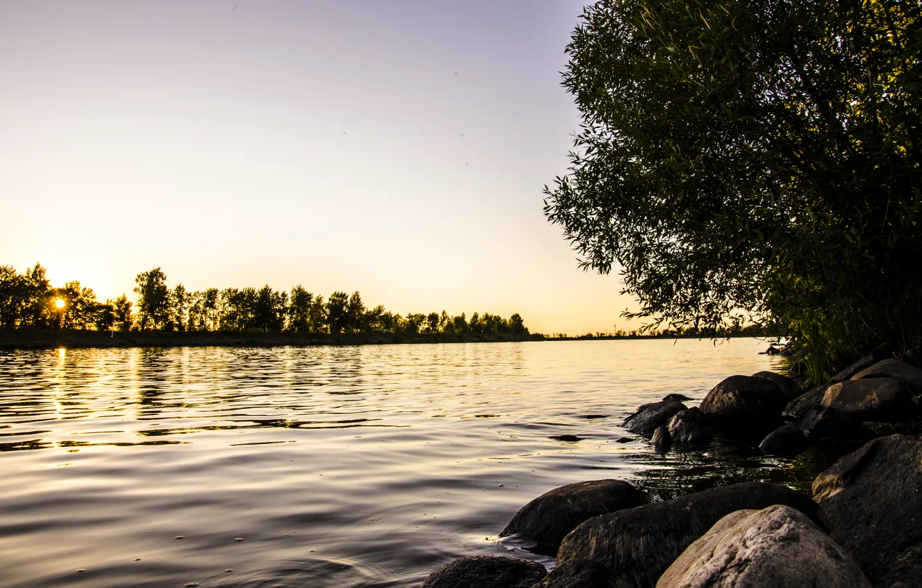 Photo wallpaper water, the sun, nature