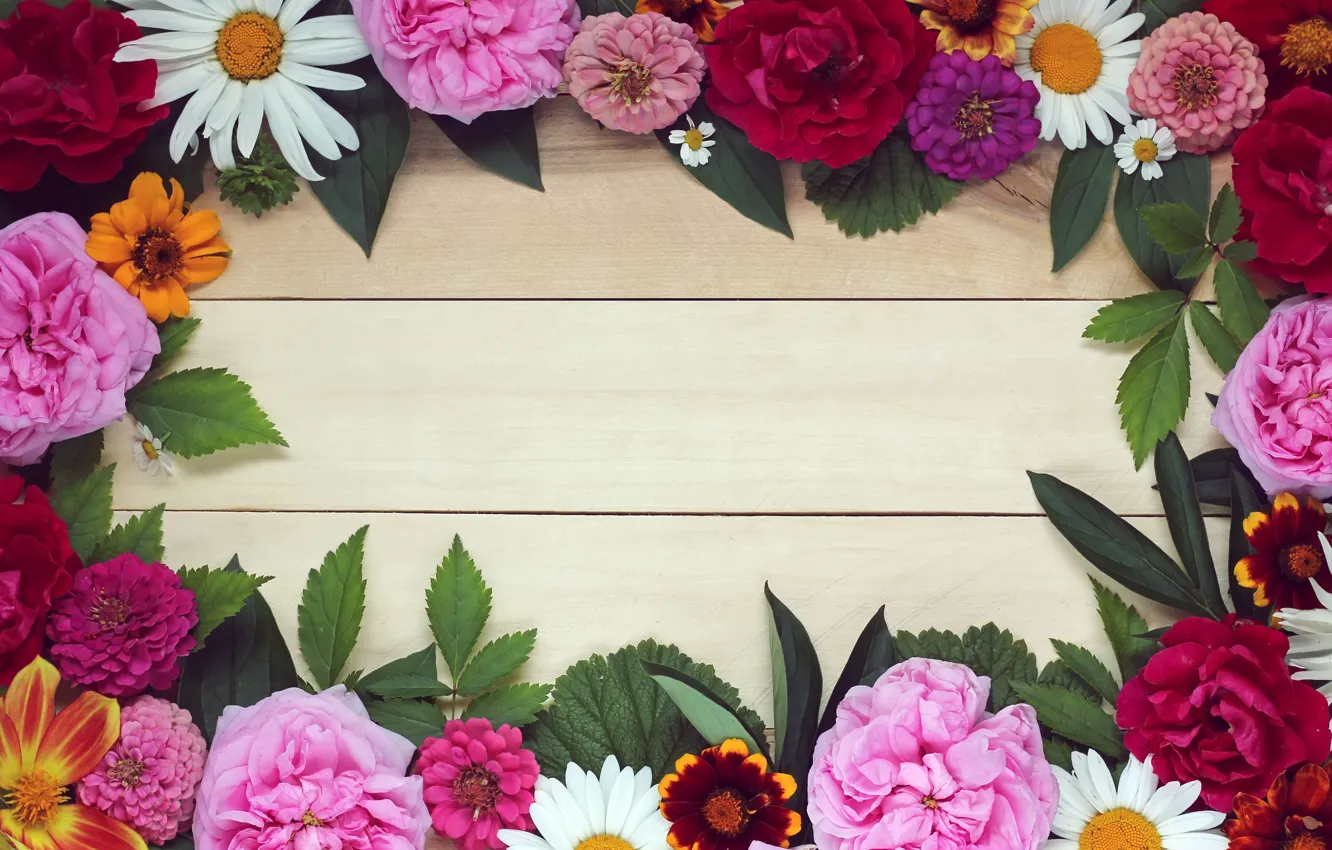 Photo wallpaper leaves, flowers, background, roses, chamomile