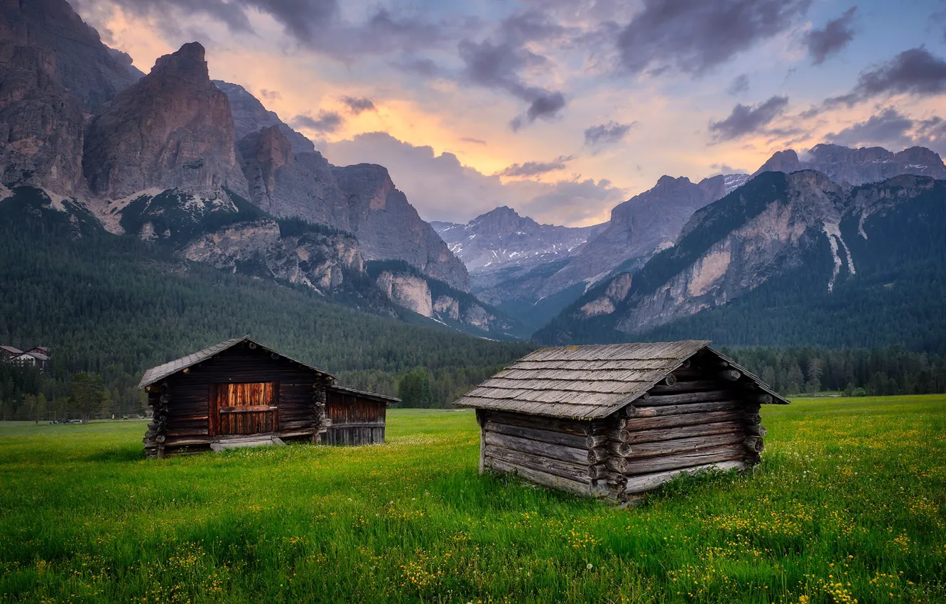 Photo wallpaper field, forest, grass, mountains, Alps, haze, house