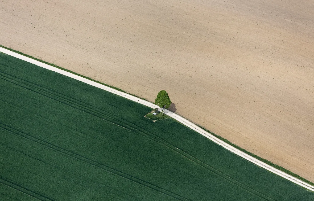 Photo wallpaper road, field, tree, countryside, farm