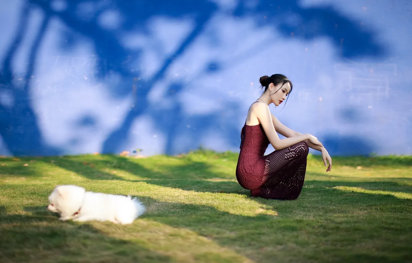 Photo wallpaper Dog, Grass, Beautiful, Asian, Model, Wall, Woman, Lawn