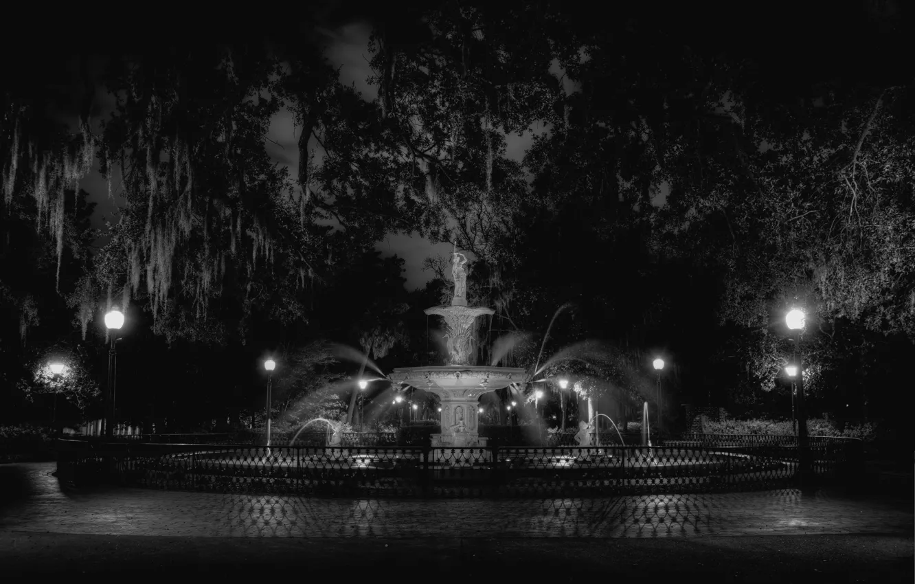 Photo wallpaper the sky, water, light, trees, night, lights, fountain, black and white