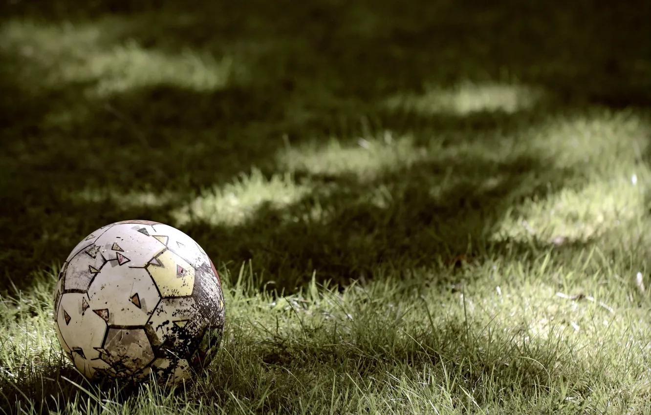 Photo wallpaper grass, sport, the ball