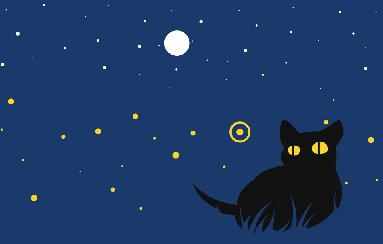 Photo wallpaper cat, night, cat