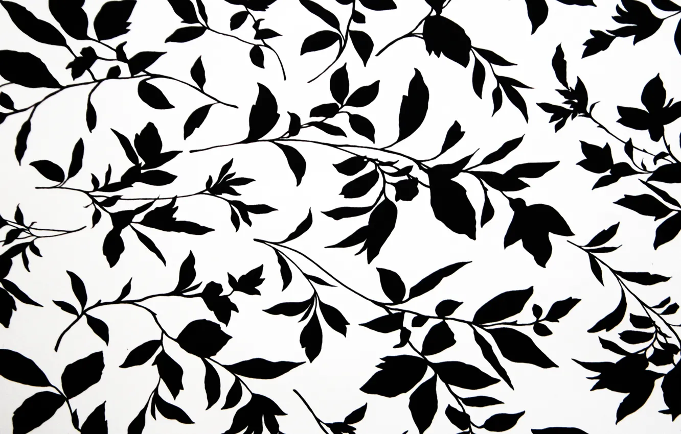 Photo wallpaper background, Wallpaper, plant, texture, flowers