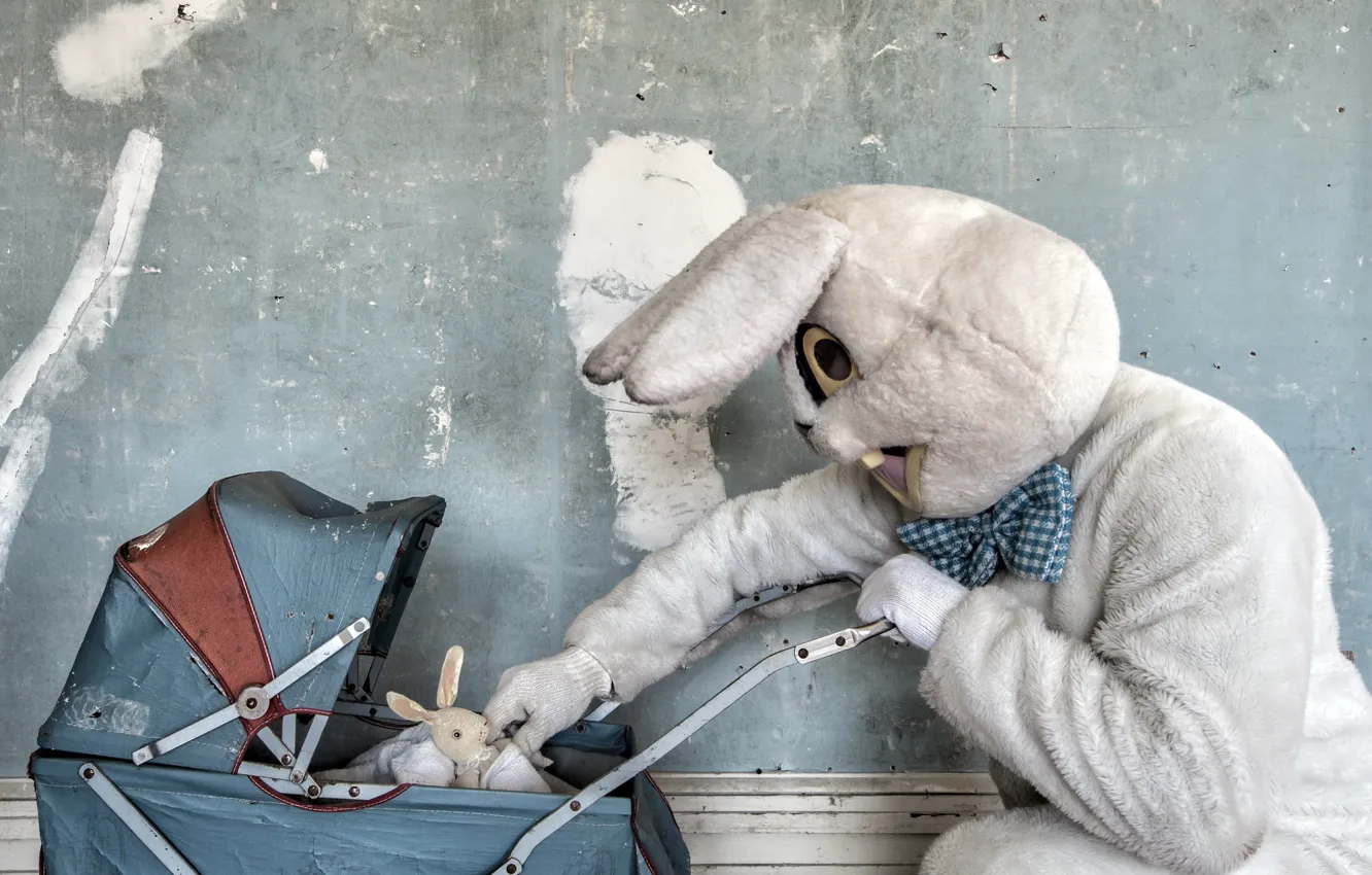 Photo wallpaper hare, home, stroller