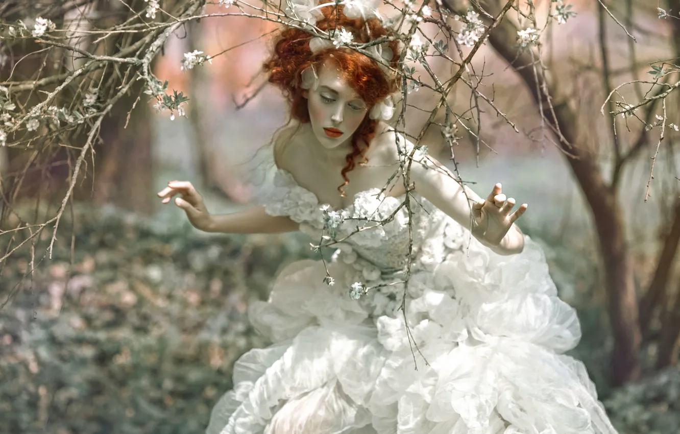 Photo wallpaper forest, girl, fantasy, art, Agnieszka Lorek