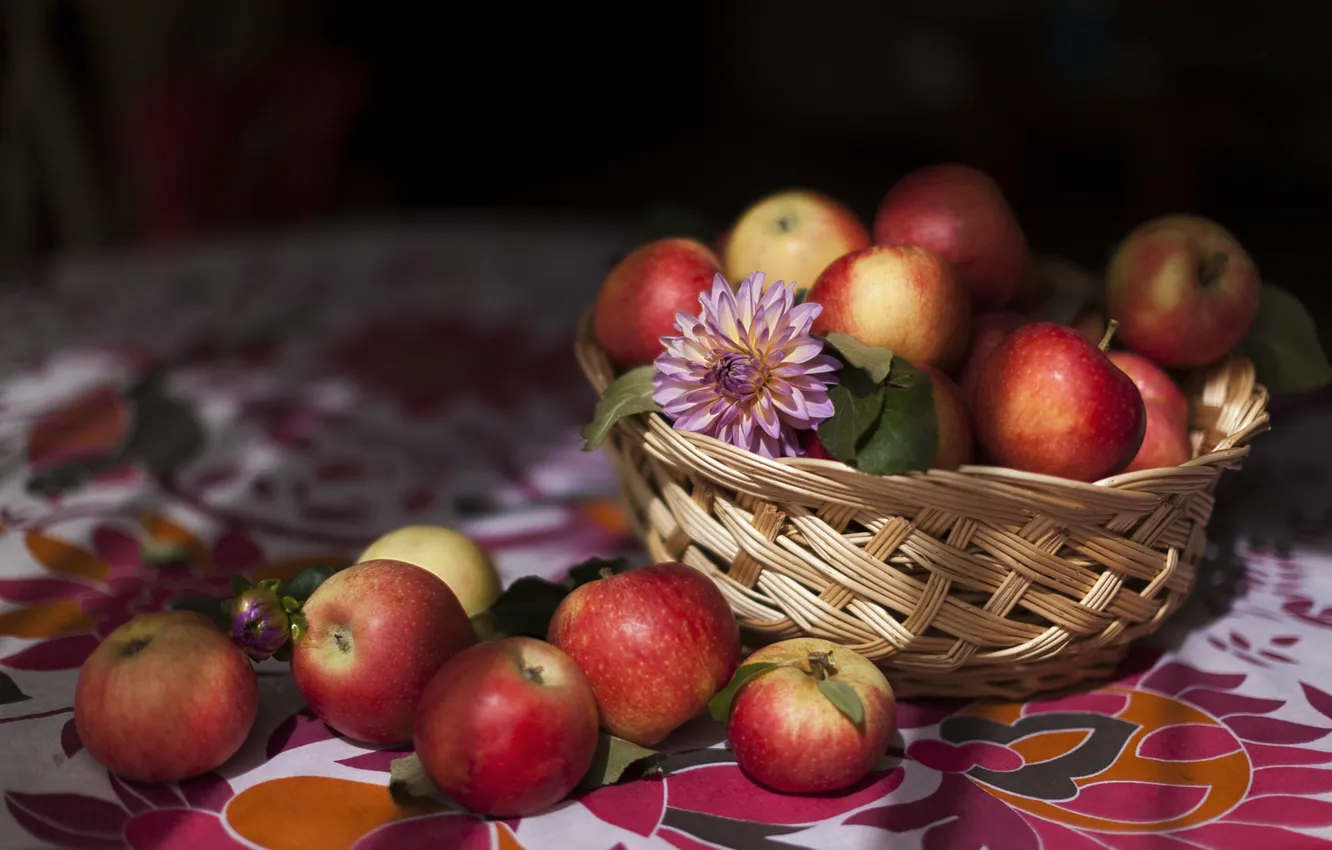 Photo wallpaper apples, food, fruit