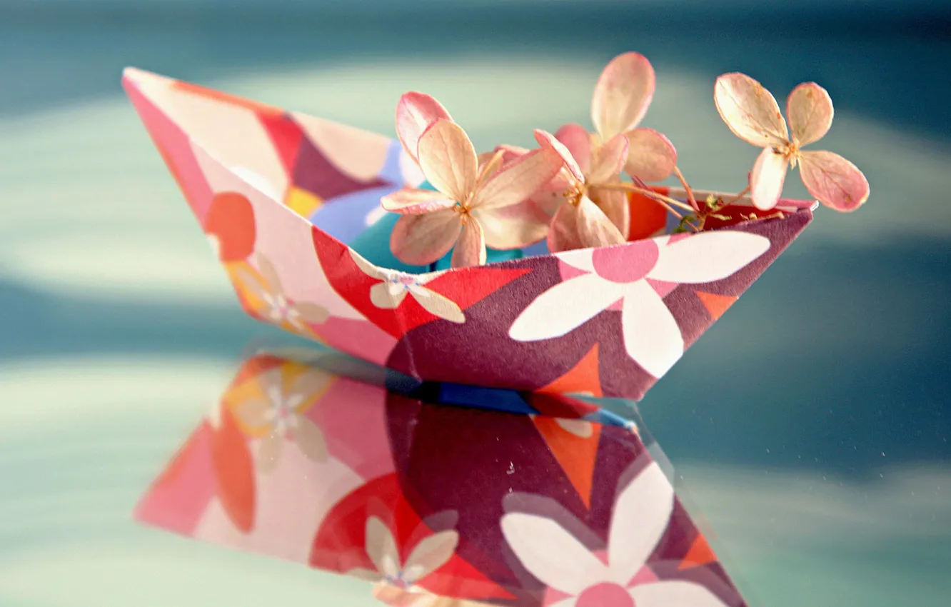 Photo wallpaper macro, reflection, flowers, hydrangea, paper boat