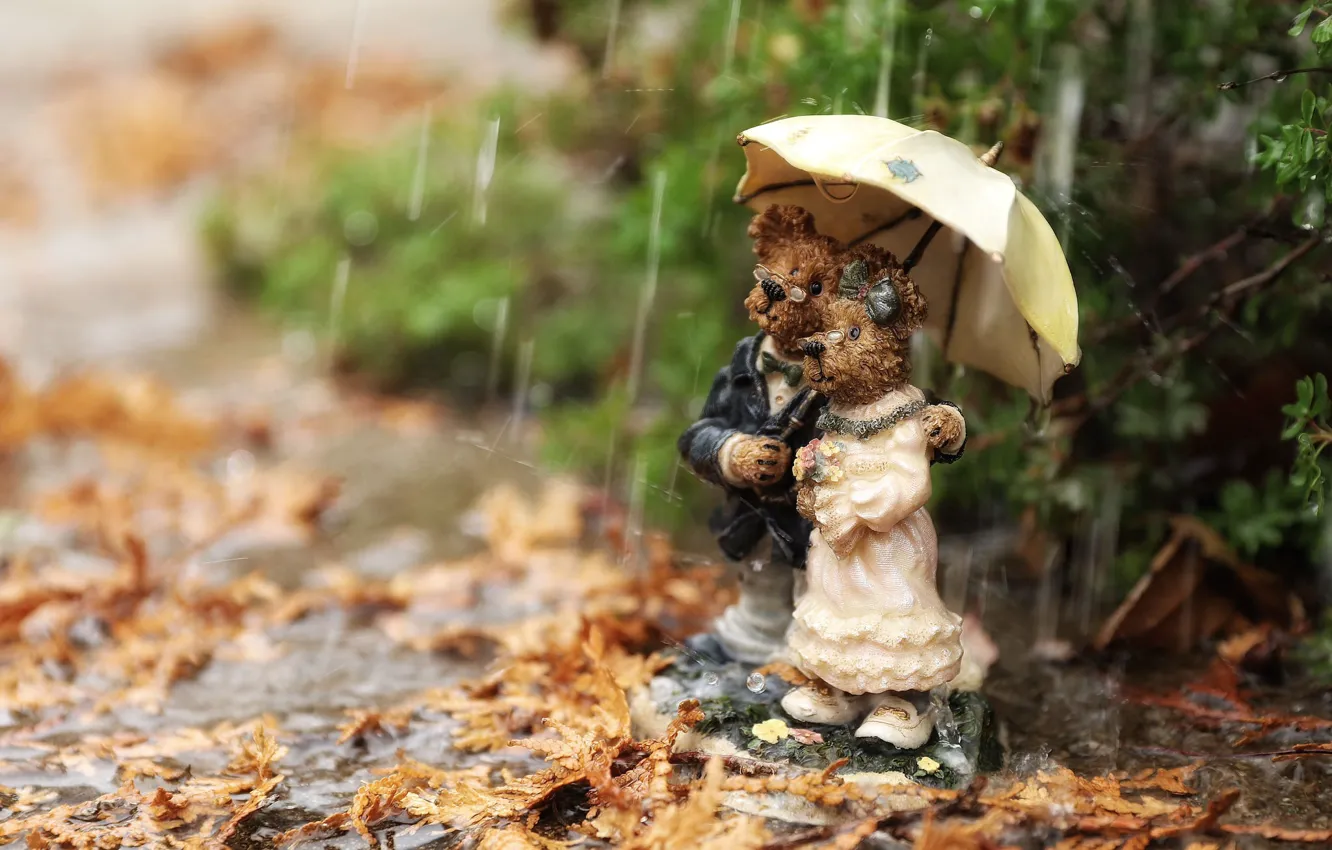 Photo wallpaper the rain, autumn, leaves, drops, branches, nature, umbrella, background