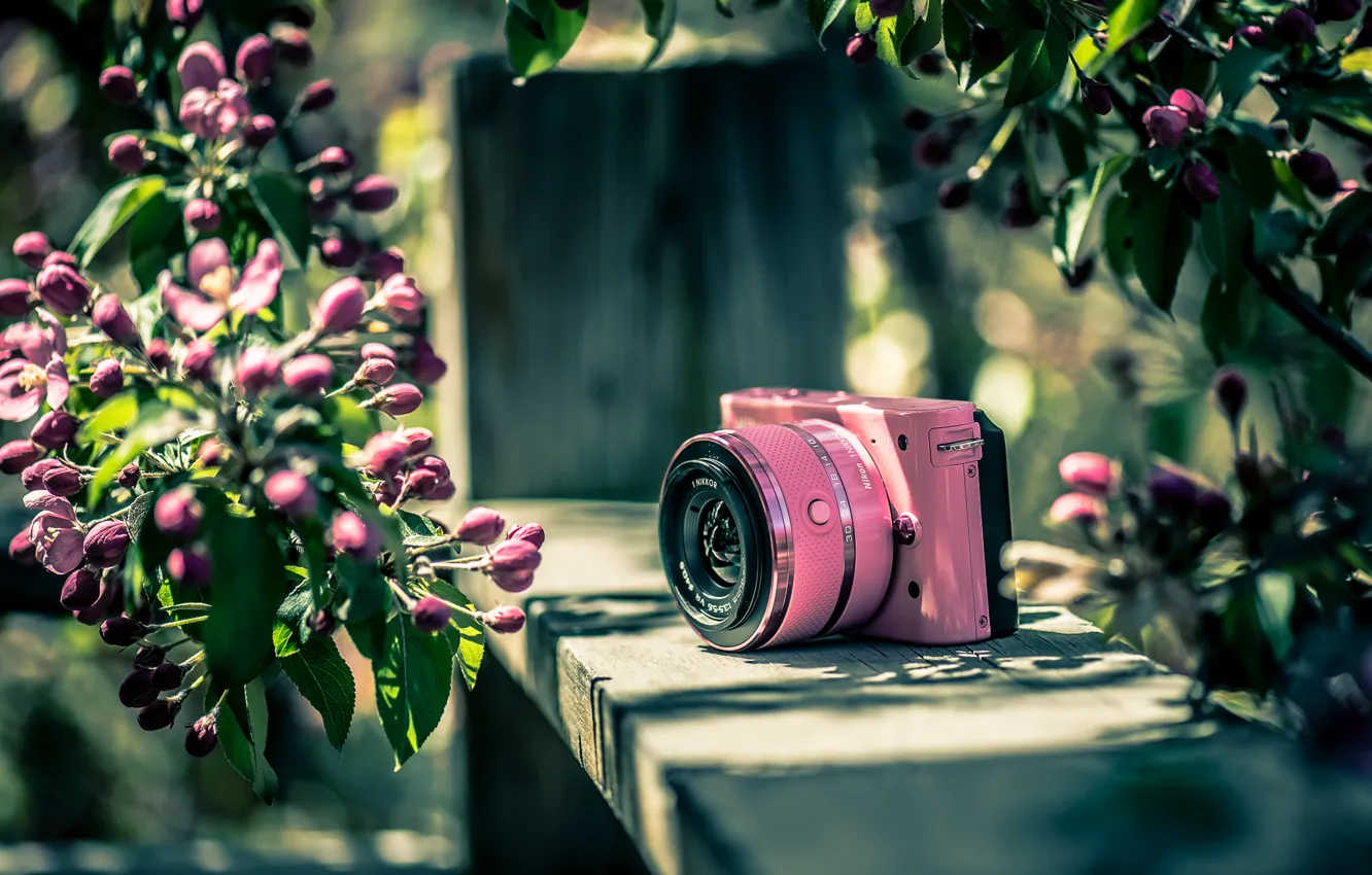 Photo wallpaper background, color, the camera, Nikon