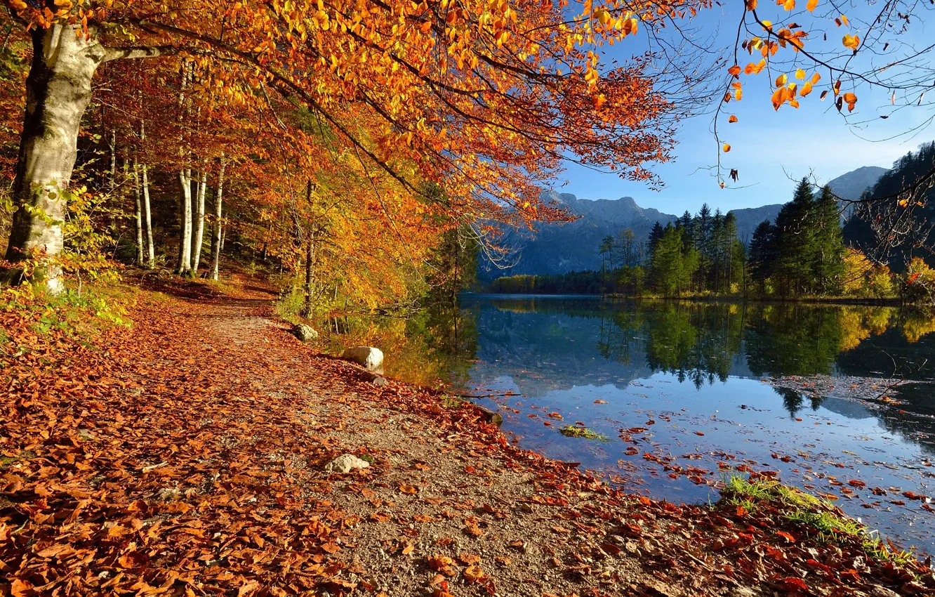 Photo wallpaper autumn, trees, landscape, mountains, nature, lake, shore, Austria