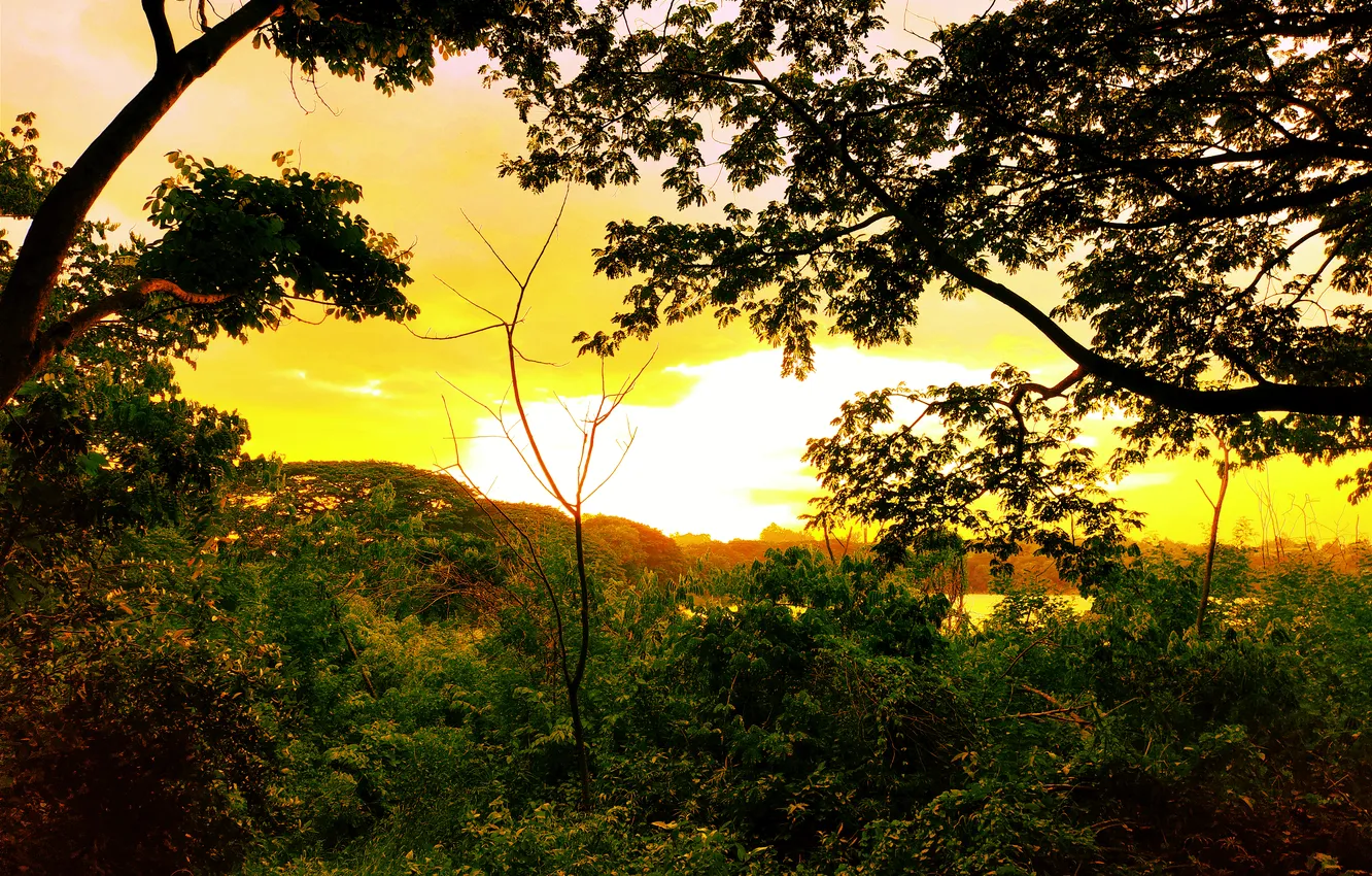 Photo wallpaper Sky, Sun, Water, Sunrise, Dawn, Morning, Lake, Trees
