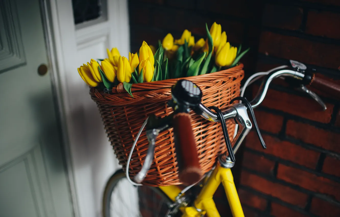 Photo wallpaper bike, basket, yellow, tulips