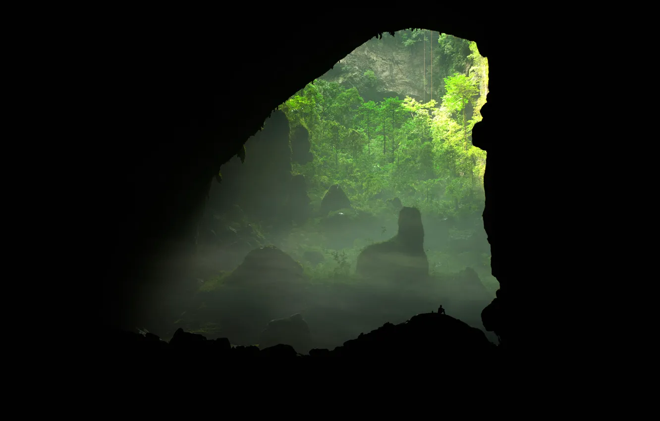 Photo wallpaper trees, people, silhouette, cave, Vietnam