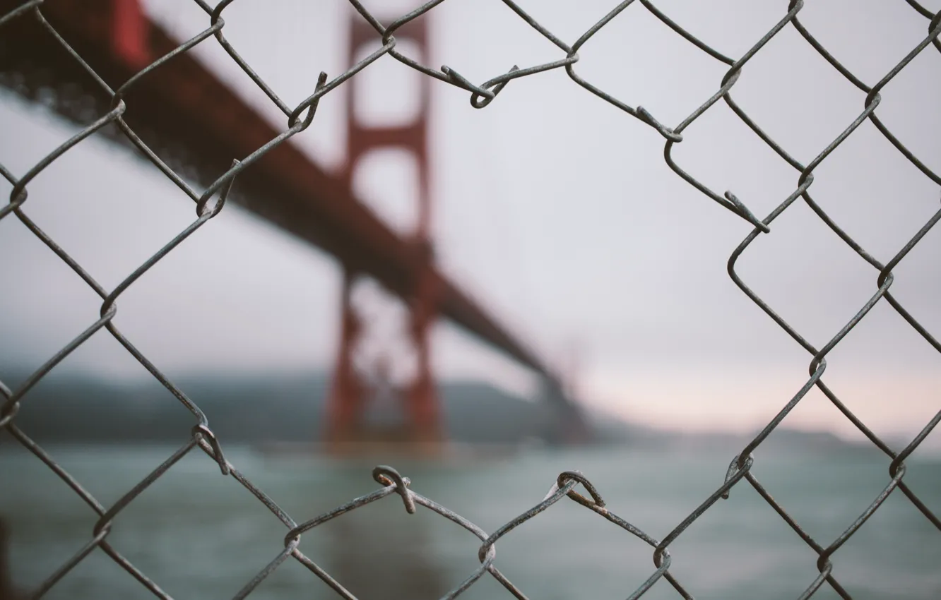 Photo wallpaper USA, california, ocean, bridge, san francisco, fence, bokeh, golden gate