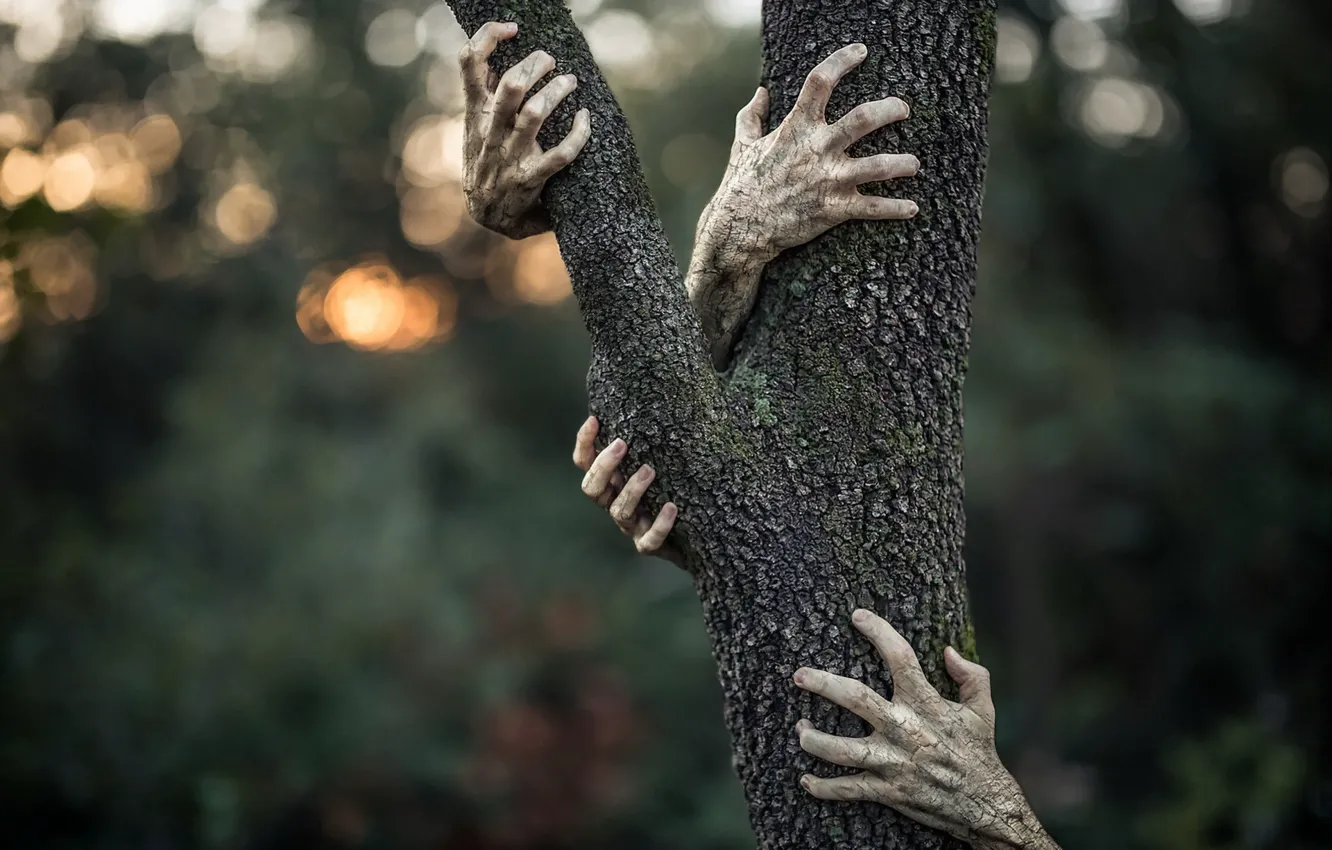 Photo wallpaper background, tree, hands
