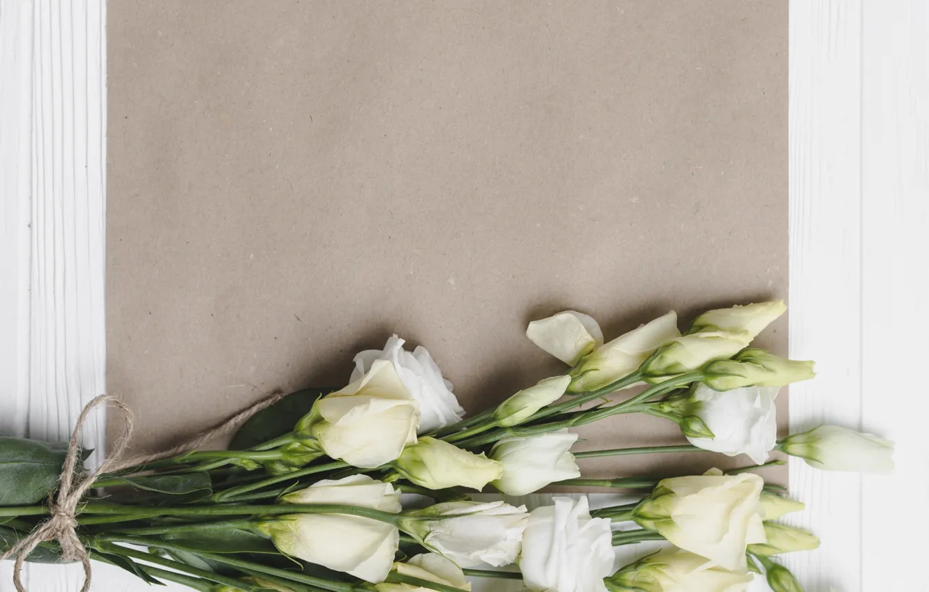 Photo wallpaper flowers, Board, spring, white, white, buds, wood, flowers