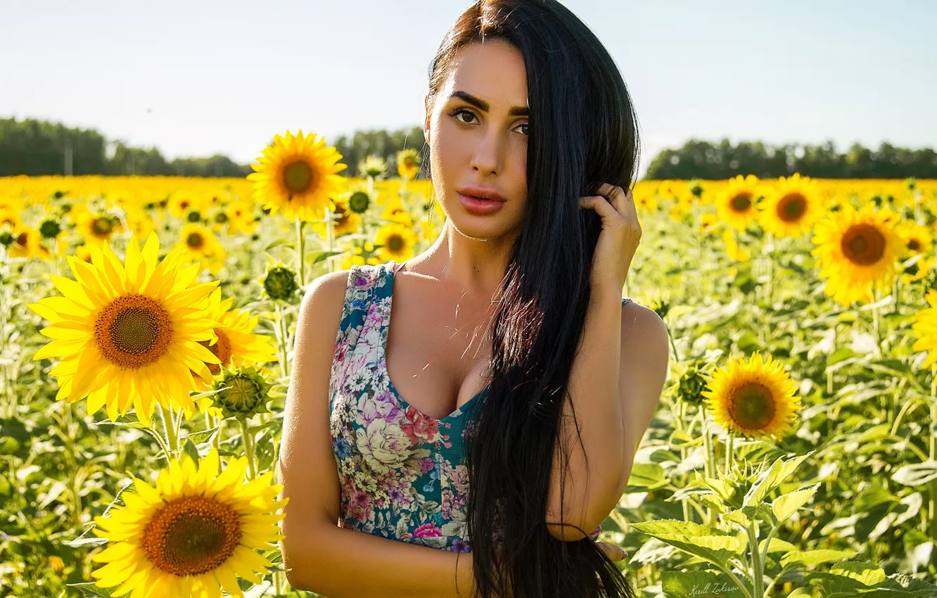 Photo wallpaper field, look, girl, sunflowers, portrait, long hair, Cyril Zakirov, Dilara Mineralova