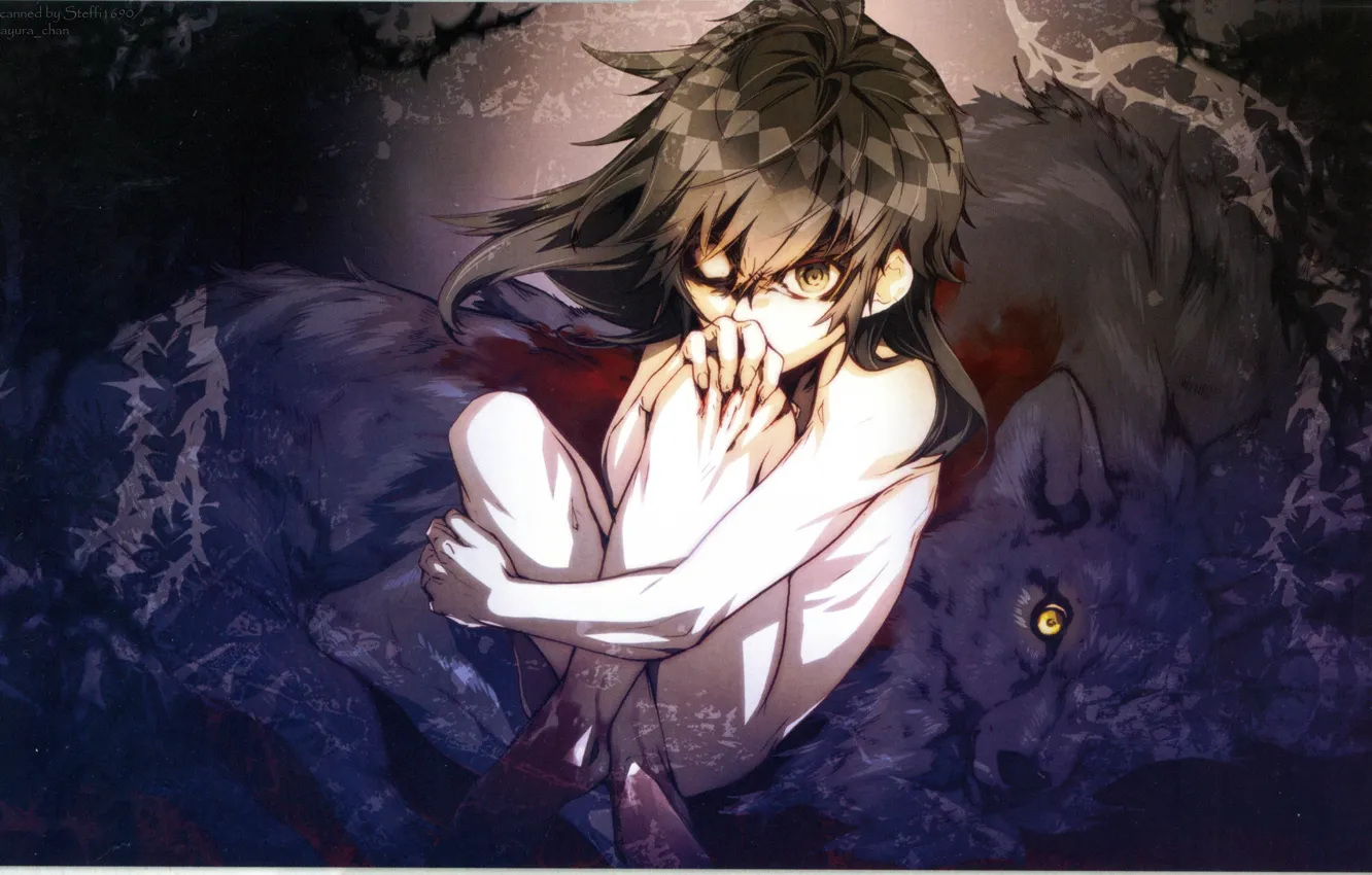 Photo wallpaper abandoned, boy, wolves, blood, the cub, burning eyes, evil eye, Haitaka no Psychedelica