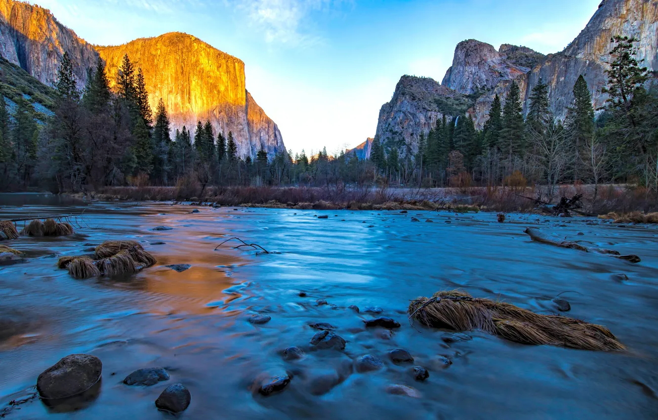 Photo wallpaper trees, landscape, mountains, nature, river, stream