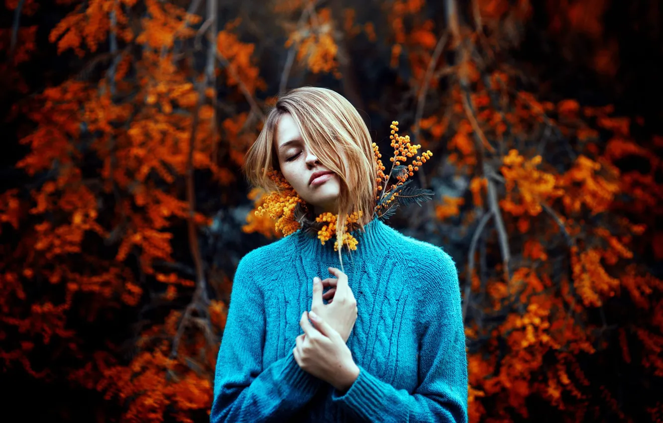 Photo wallpaper girl, mood, sweater, bokeh, acacia, Mimosa, Ronny Garcia