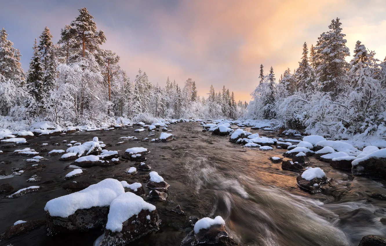 Photo wallpaper winter, forest, snow, river, Russia, The Kola Peninsula, Murmansk oblast, Sergei Korolev