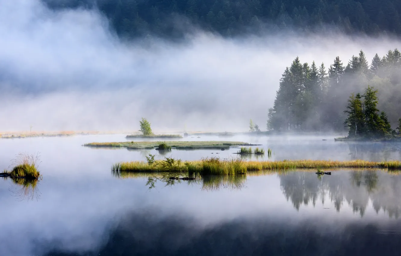 Photo wallpaper mountains, fog, lake