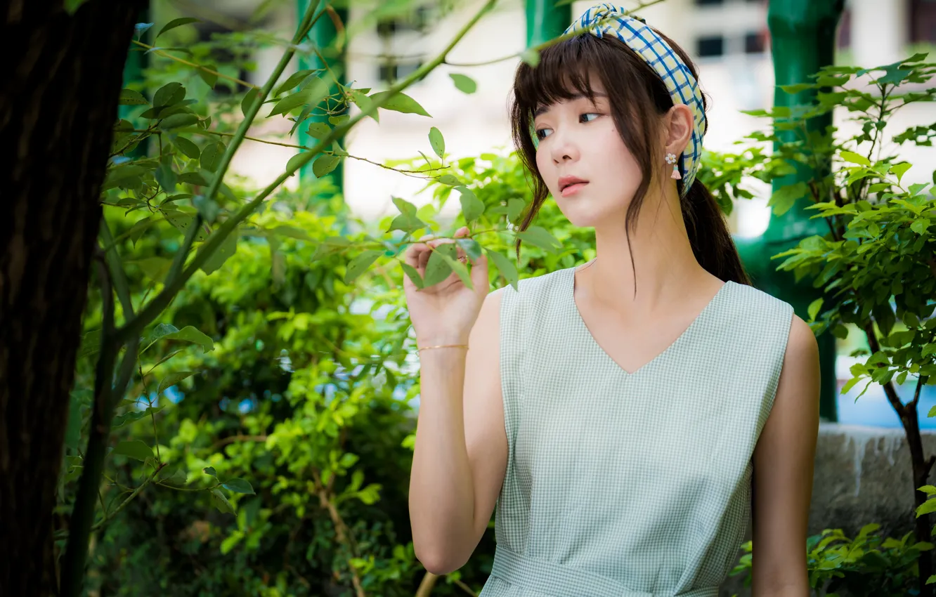 Photo wallpaper leaves, girl, branches, Asian, cutie