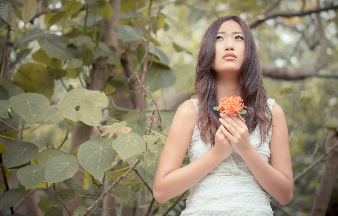 Photo wallpaper flowers, model, Fanny Ng