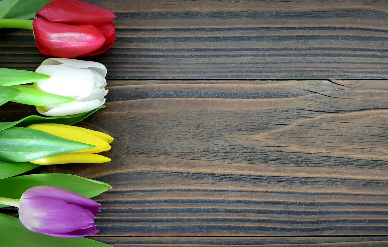 Photo wallpaper flowers, colorful, tulips, wood, romantic, tulips