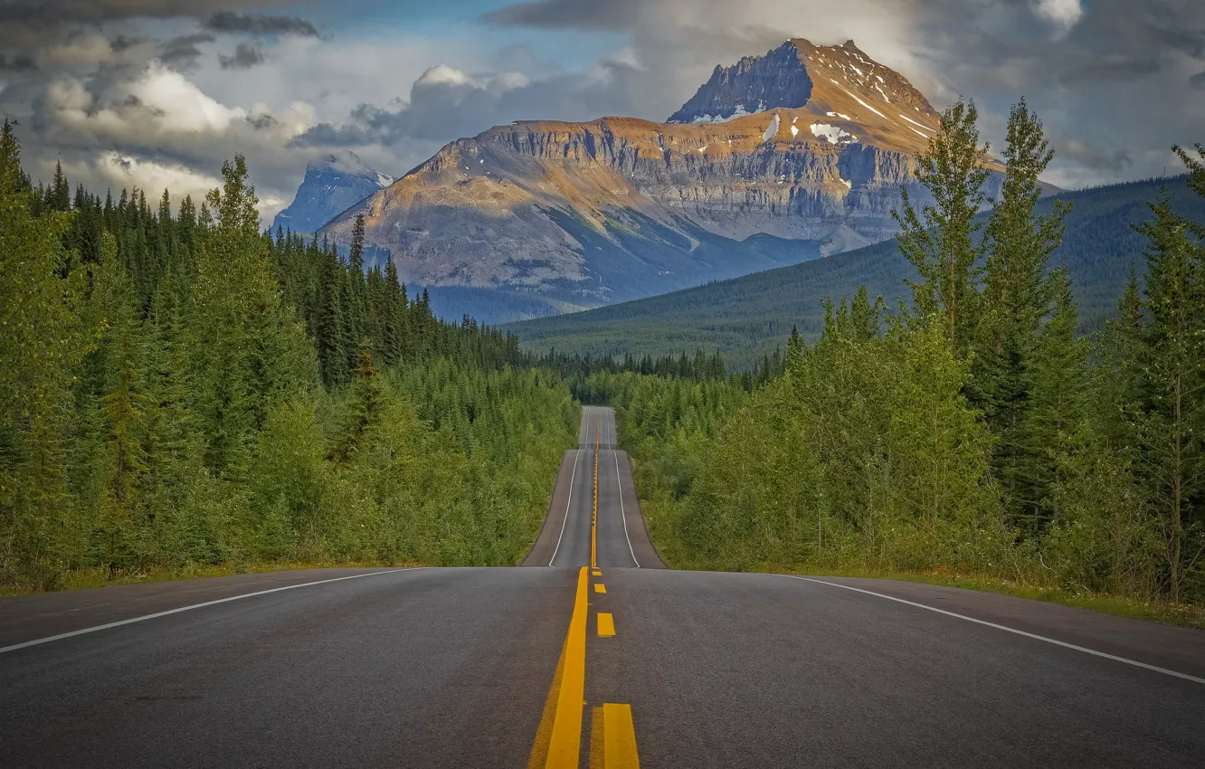 Photo wallpaper road, forest, trees, mountains, Canada, Canada, Rocky mountains, Rocky Mountains