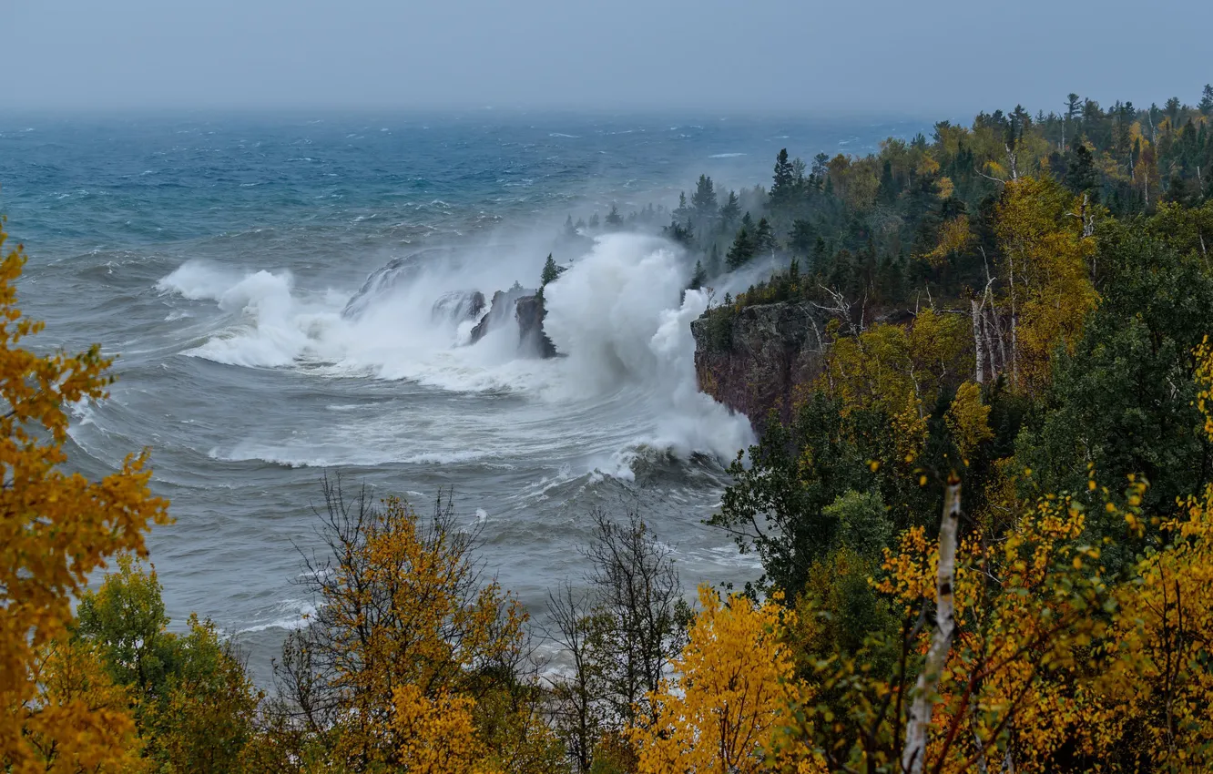 Photo wallpaper sea, autumn, forest, trees, storm
