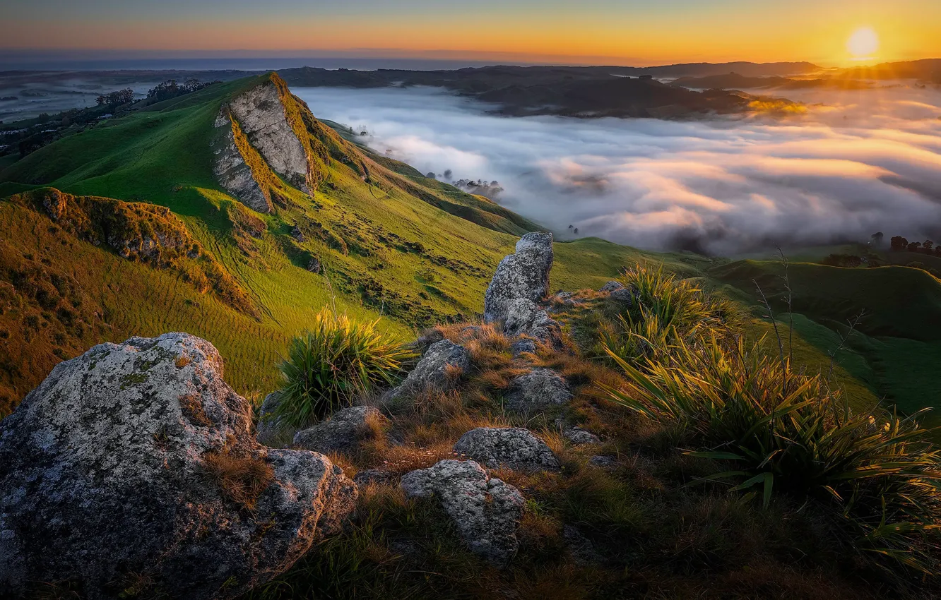 Photo wallpaper mountains, fog, sunrise, dawn, morning, New Zealand