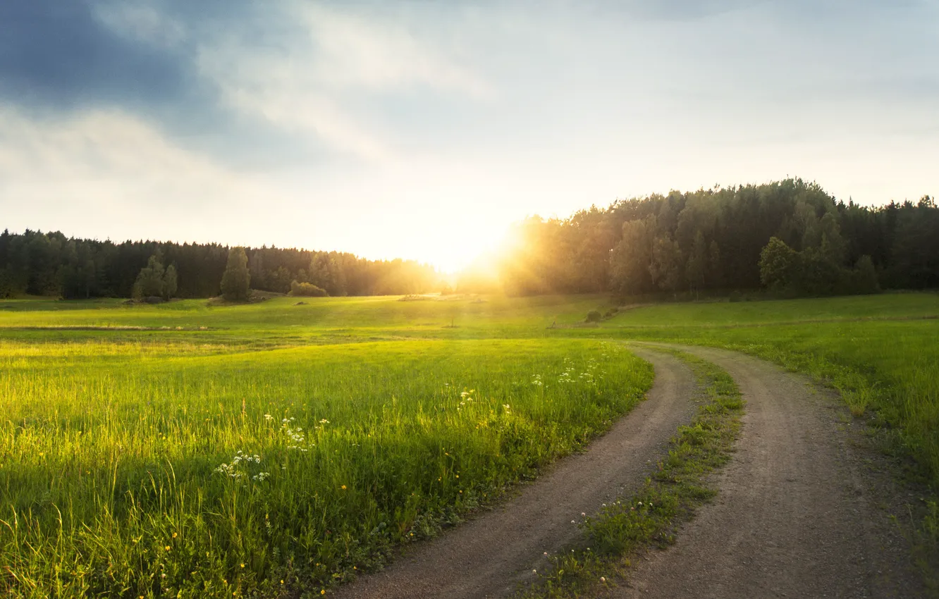 Photo wallpaper road, greens, field, summer, the sky, grass, the sun, light