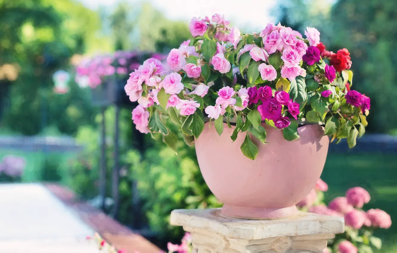 Photo wallpaper flowers, bouquet, garden, pink, flowerbed, pot, bokeh