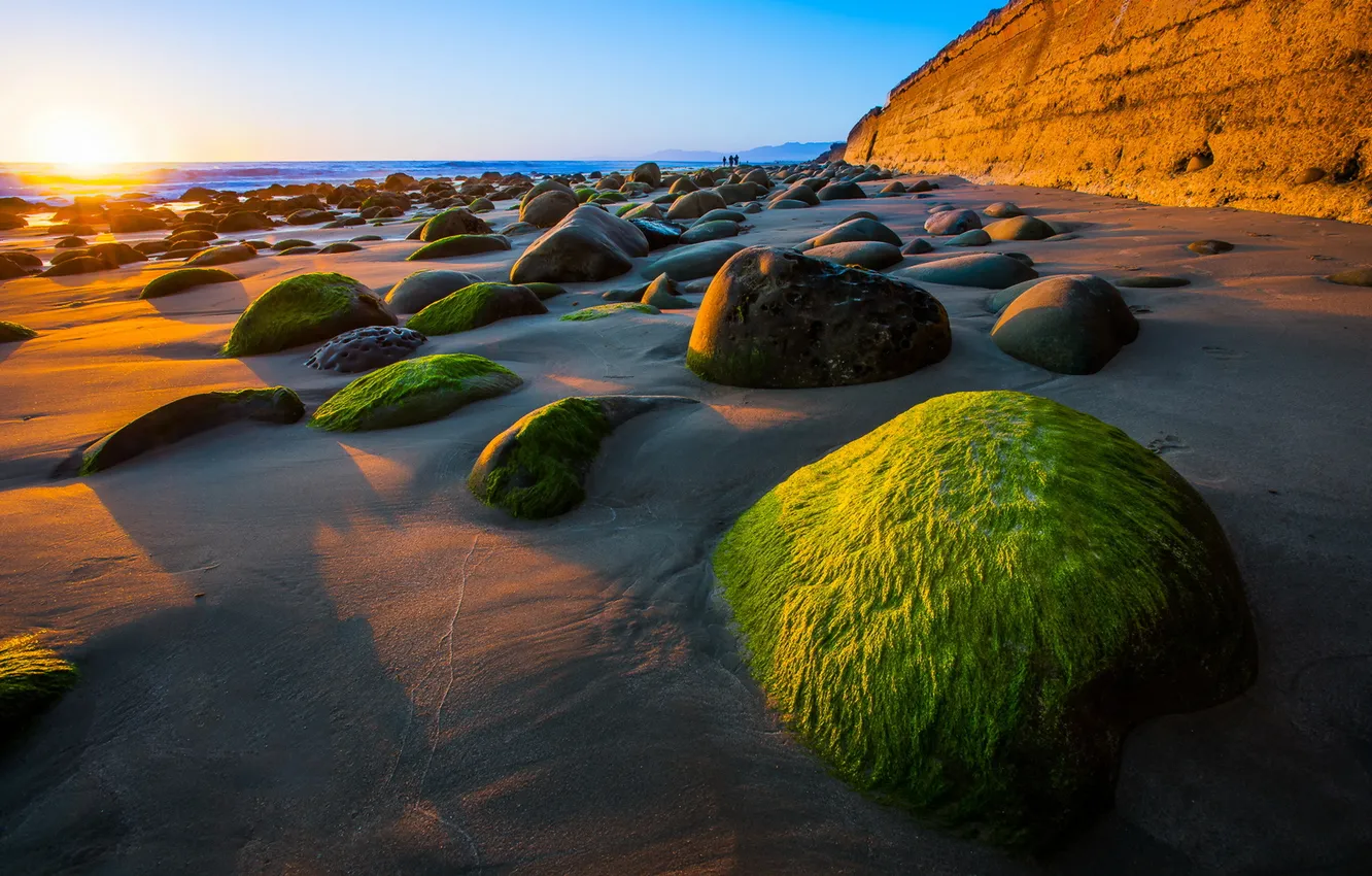 Photo wallpaper sea, beach, stones