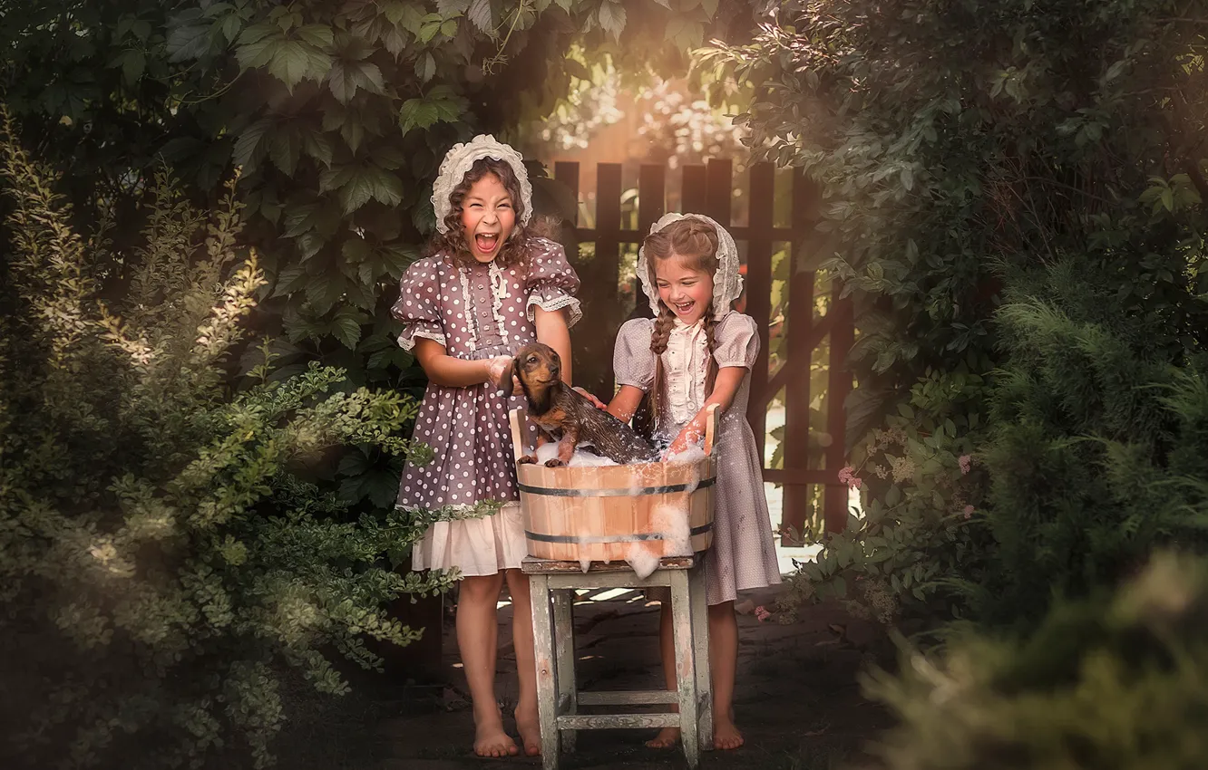 Photo wallpaper summer, foam, nature, children, animal, the fence, dog, bathing