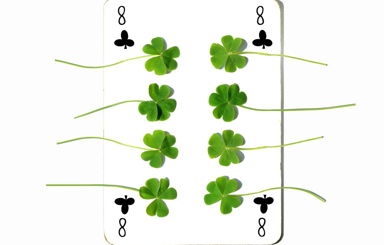 Photo wallpaper background, map, clover