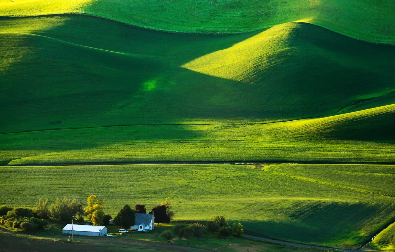 Photo wallpaper greens, field, the sun, hills