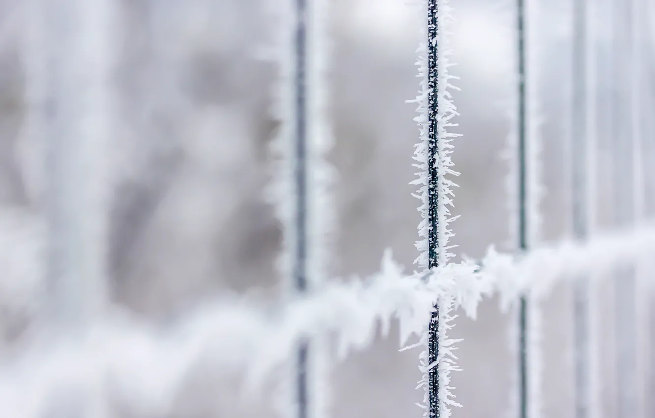 Photo wallpaper winter, frost, the fence