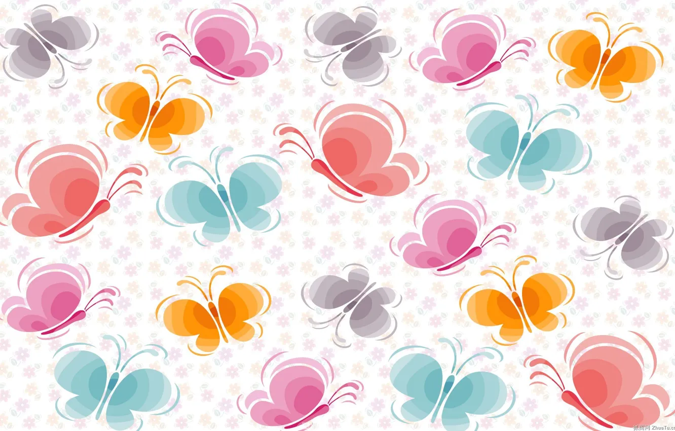 Photo wallpaper butterfly, flowers, colorful