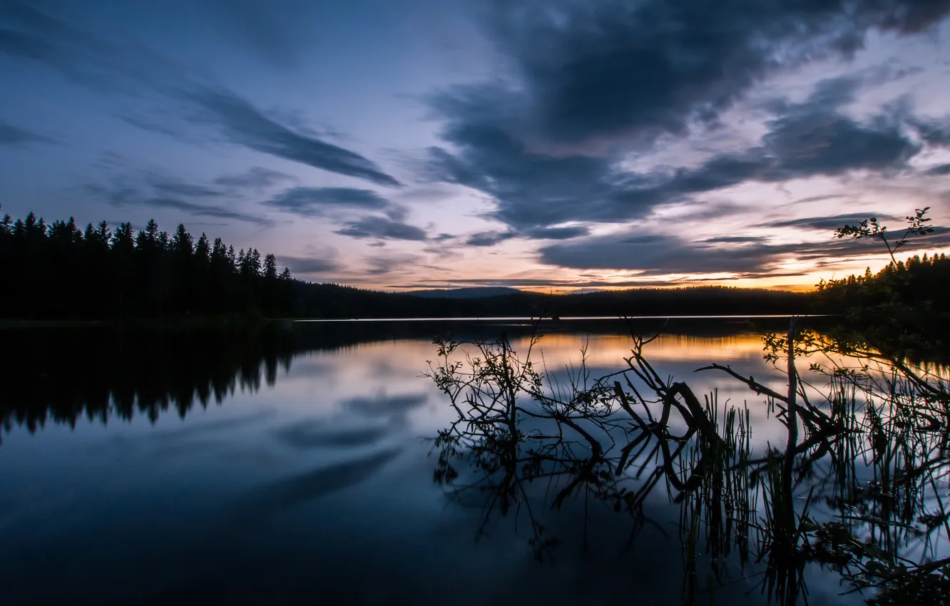 Photo wallpaper forest, sunset, lake, twilight