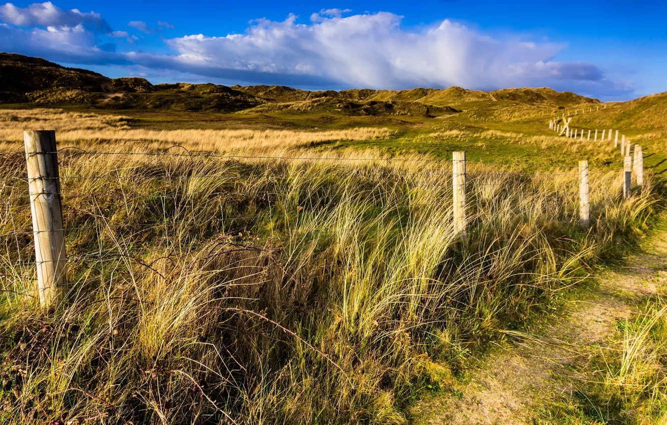 Photo wallpaper road, field, landscape, the fence